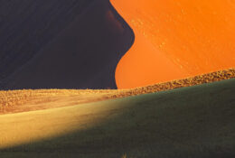 Namibia_August (11/135)
